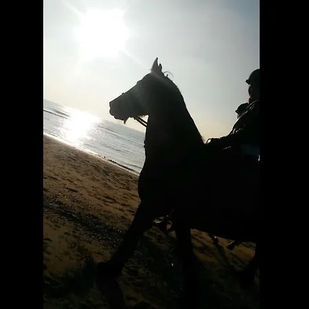 Direkt An Den Duenen ヴィラ ユリアーナドルプ