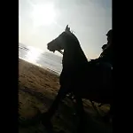 Direkt An Den Duenen ヴィラ ユリアーナドルプ