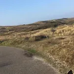 Direkt An Den Duenen ヴィラ ユリアーナドルプ